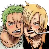 1OP Zoro and Sanji