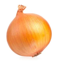Onion