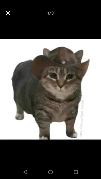 KuuyaK