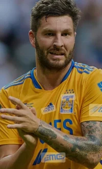 Andre pierre gignac 