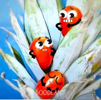 Doodland tomato pine