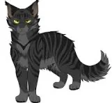 Darkstripe