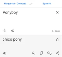 Chico pony Curtains 