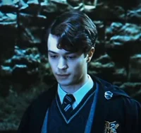Tom riddle - father2