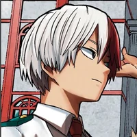 Shoto Todoroki 