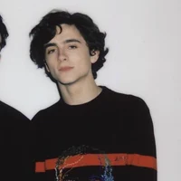 Timothee Chalamet