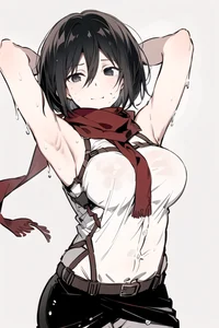 Mikasa 