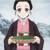 Human nezuko 