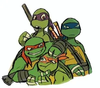 2012 x 2018 TMNT