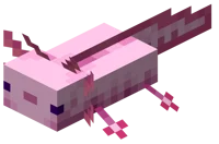 axolotol