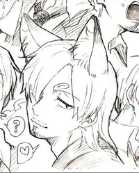 Cat boy sanji