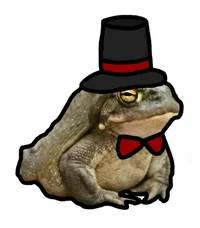 Fancy Frog