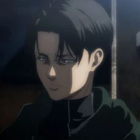 Levi Body guard