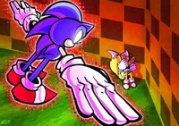 Sonic tails roommate