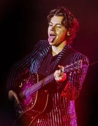 Harry Styles 