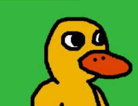 The Duck