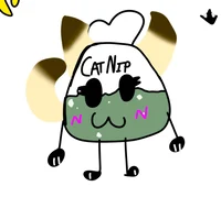 Catnip 