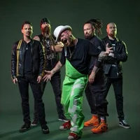 FFDP band