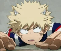 Bakugou katsuki