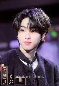 Han Jisung 