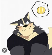 Fluffy dog