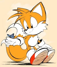 Tails The Fox