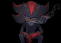 Shadow the bodyguard