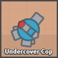 Undercover cop arras