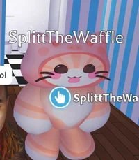 Splitt