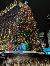 Christmas story 