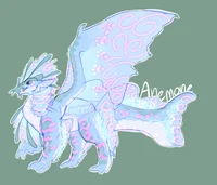 Tsunami Coral Anemon