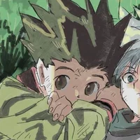 Gon Freeces