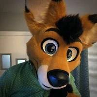 oz the kangaroo