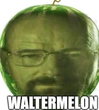 Waltermelon 