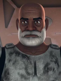 Veteran Captain Rex