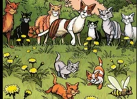 Skyclan
