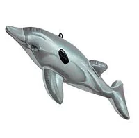 Intex Dolphin