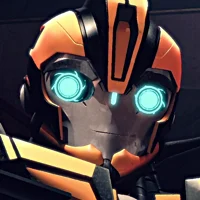 TF - Bumblebee