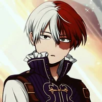 Shoto Todoroki