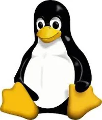 Linux kernel