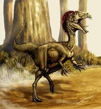 Velocisaurus