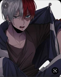 TODOROKI SHOTO