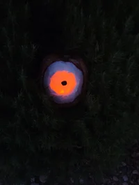 Eye in the dark