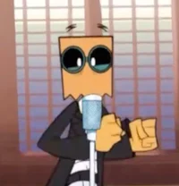 Dr Flug