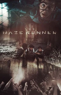 The maze runner