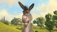 Donkey Shrek