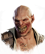 Baraka
