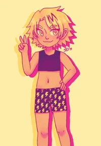 Trans kaminari 