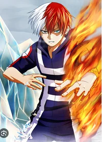 Shoto Todoroki