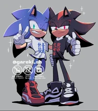 Sonic and Shadow